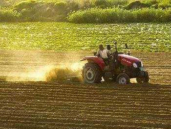 浙江省下达2020年省级农业农村高质量发展专项资金