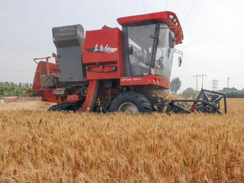 新疆小麦机收率达97.48%